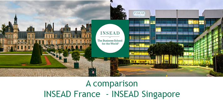 Insead mba resume