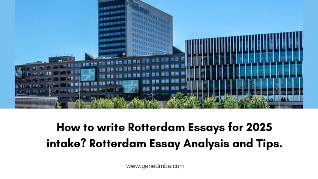 Rotterdam essay analysis